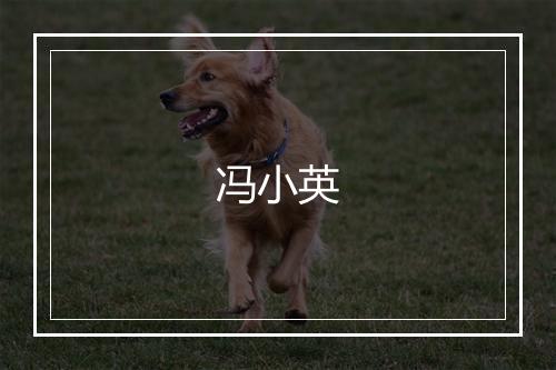 冯小英