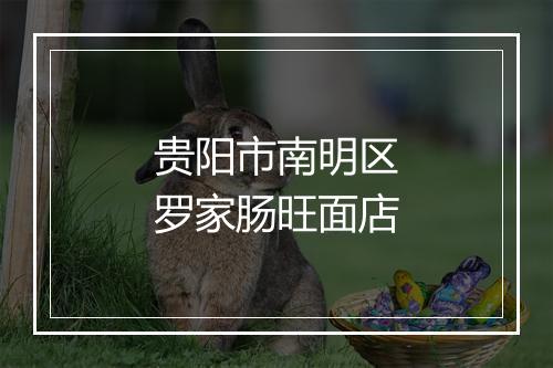 贵阳市南明区罗家肠旺面店