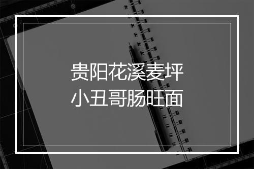 贵阳花溪麦坪小丑哥肠旺面