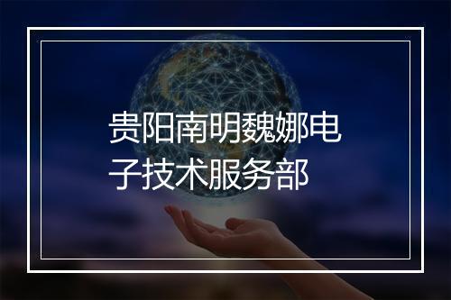 贵阳南明魏娜电子技术服务部