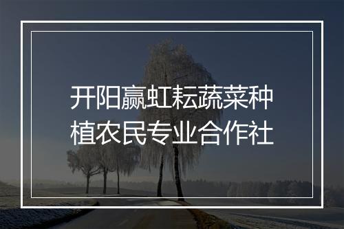 开阳赢虹耘蔬菜种植农民专业合作社