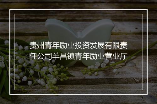 贵州青年励业投资发展有限责任公司羊昌镇青年励业营业厅