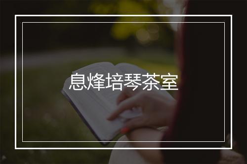 息烽培琴茶室