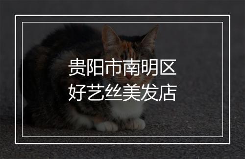 贵阳市南明区好艺丝美发店