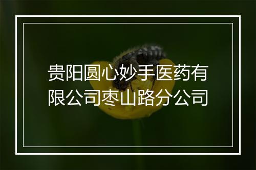 贵阳圆心妙手医药有限公司枣山路分公司