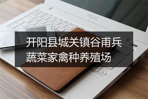 开阳县城关镇谷甫兵蔬菜家禽种养殖场