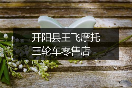 开阳县王飞摩托三轮车零售店