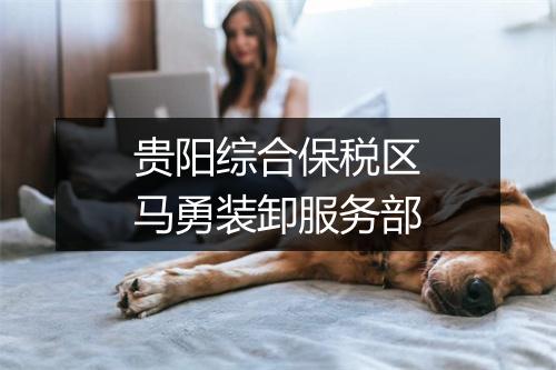 贵阳综合保税区马勇装卸服务部