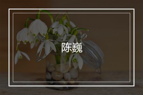 陈巍
