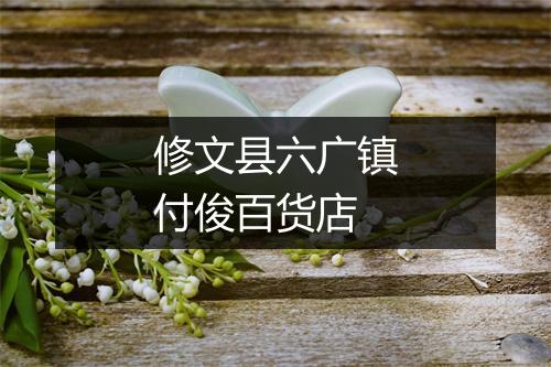 修文县六广镇付俊百货店