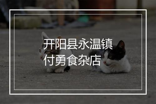 开阳县永温镇付勇食杂店