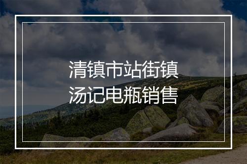 清镇市站街镇汤记电瓶销售
