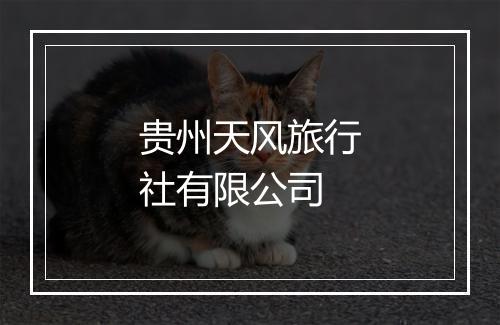 贵州天风旅行社有限公司