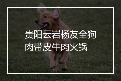 贵阳云岩杨友全狗肉带皮牛肉火锅
