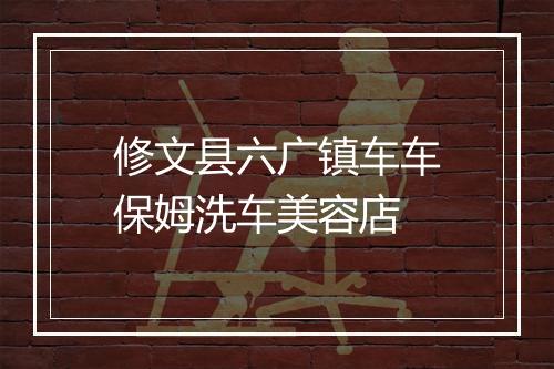 修文县六广镇车车保姆洗车美容店