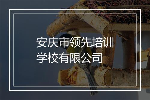安庆市领先培训学校有限公司