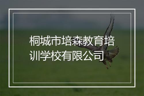 桐城市培森教育培训学校有限公司