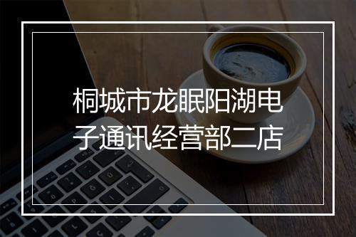 桐城市龙眠阳湖电子通讯经营部二店
