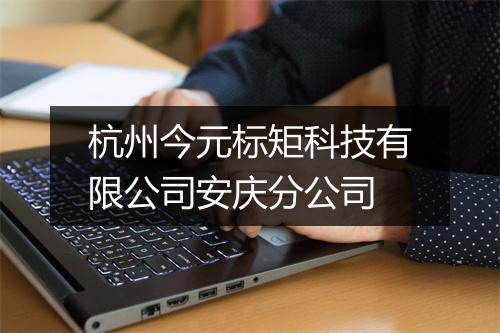 杭州今元标矩科技有限公司安庆分公司