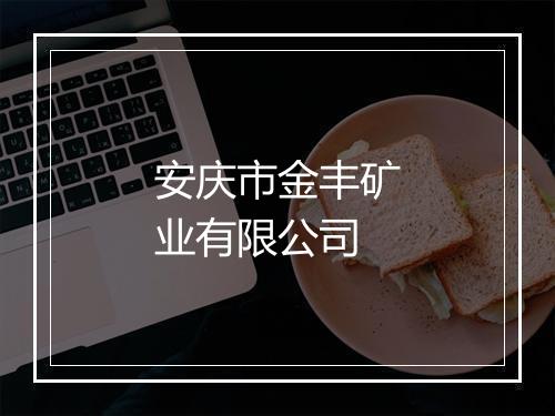 安庆市金丰矿业有限公司