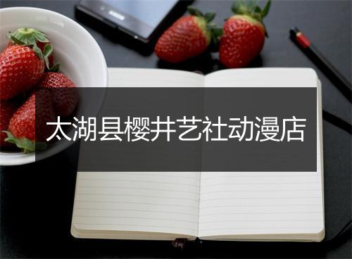 太湖县樱井艺社动漫店