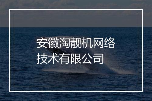 安徽淘靓机网络技术有限公司