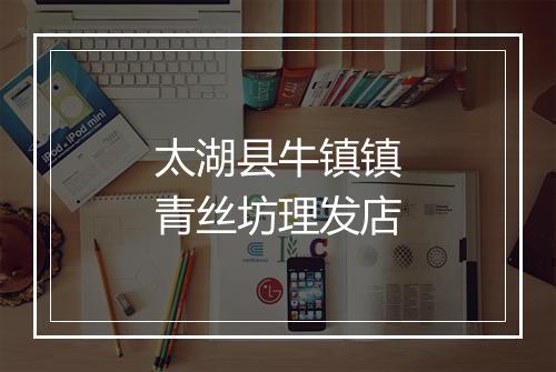 太湖县牛镇镇青丝坊理发店