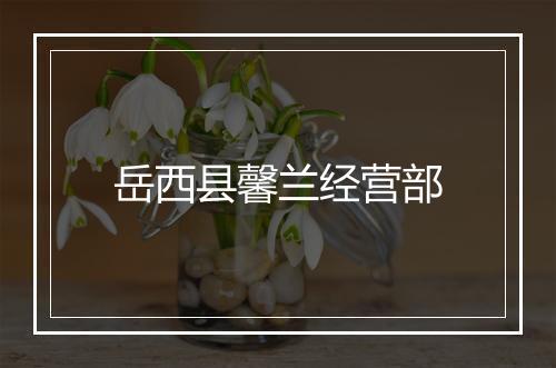 岳西县馨兰经营部