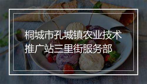 桐城市孔城镇农业技术推广站三里街服务部
