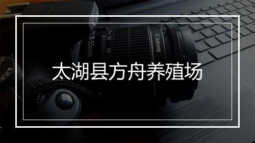 太湖县方舟养殖场