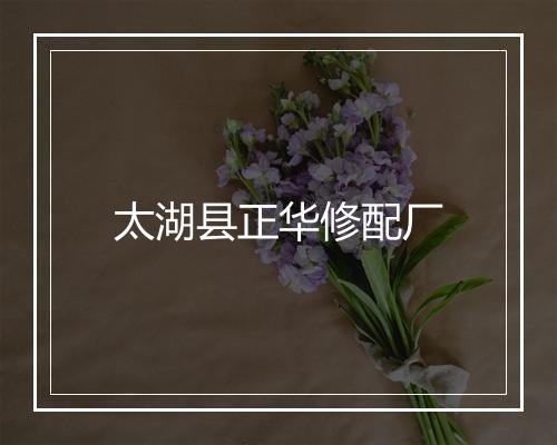 太湖县正华修配厂
