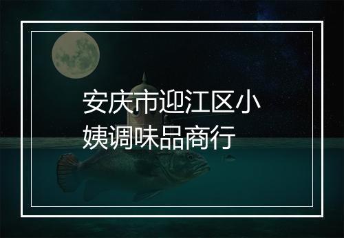 安庆市迎江区小姨调味品商行