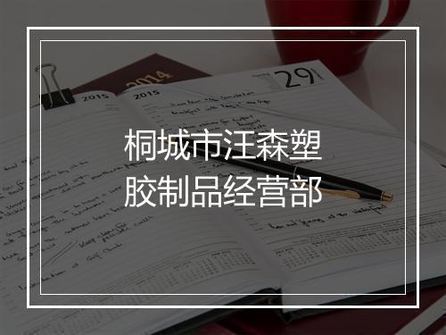 桐城市汪森塑胶制品经营部