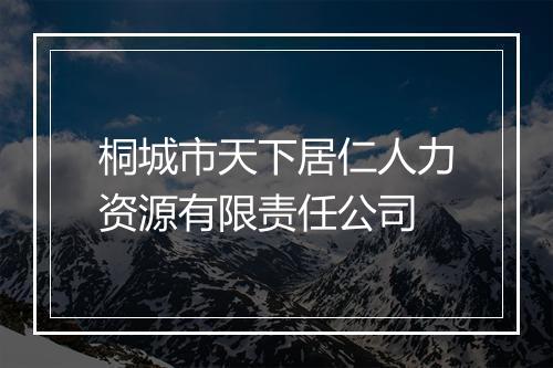 桐城市天下居仁人力资源有限责任公司