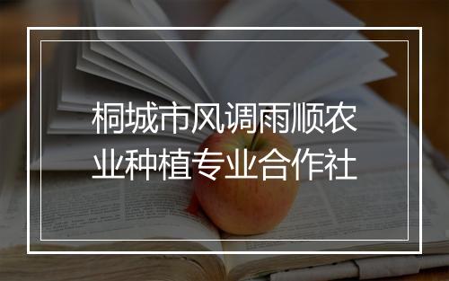 桐城市风调雨顺农业种植专业合作社