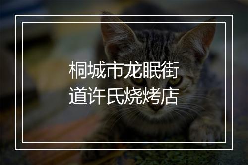桐城市龙眠街道许氏烧烤店