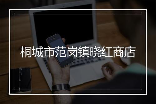 桐城市范岗镇晓红商店