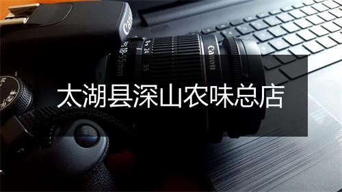 太湖县深山农味总店
