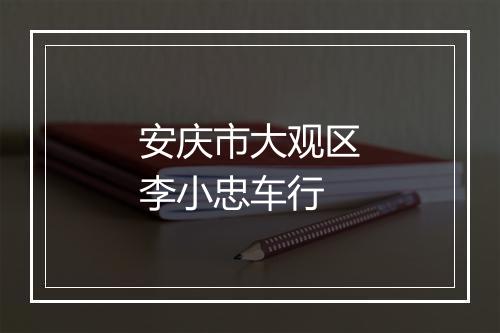 安庆市大观区李小忠车行