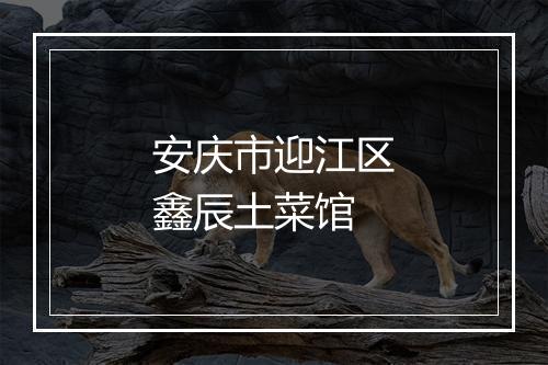 安庆市迎江区鑫辰土菜馆