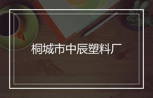 桐城市中辰塑料厂