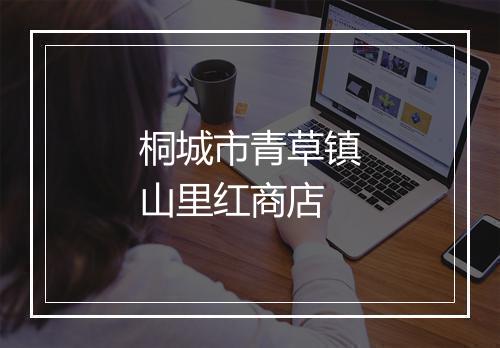 桐城市青草镇山里红商店