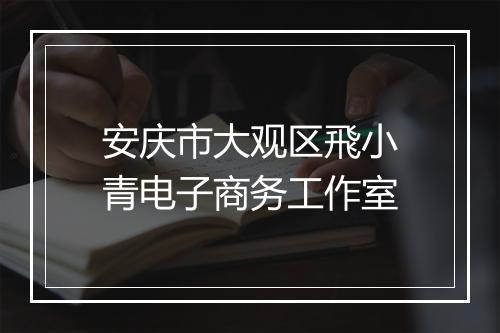 安庆市大观区飛小青电子商务工作室