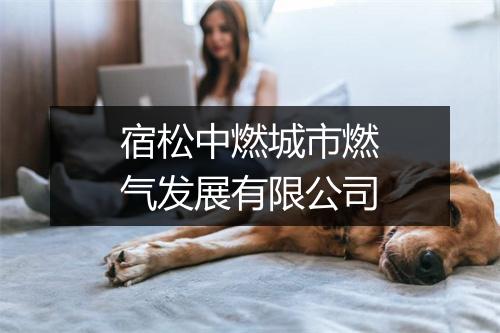 宿松中燃城市燃气发展有限公司