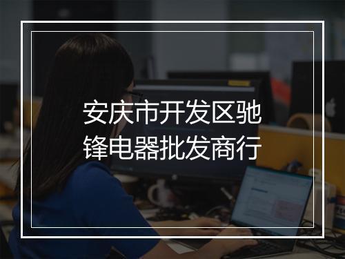 安庆市开发区驰锋电器批发商行