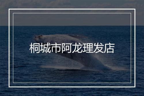 桐城市阿龙理发店