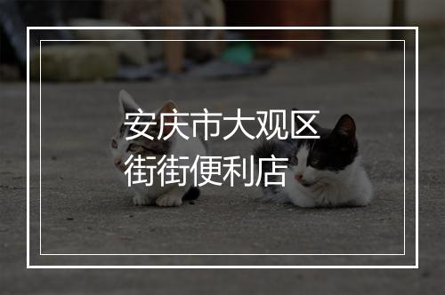 安庆市大观区街街便利店