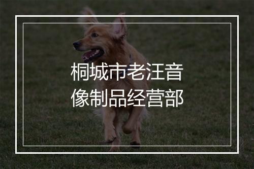 桐城市老汪音像制品经营部