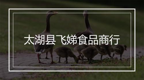 太湖县飞娣食品商行