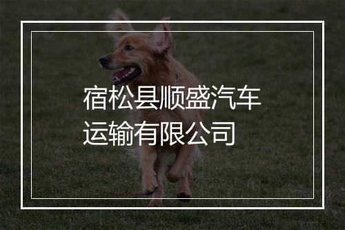 宿松县顺盛汽车运输有限公司